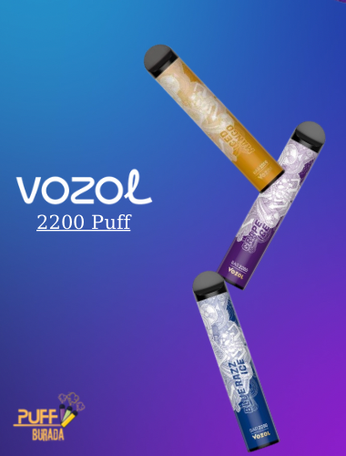 VOZOL-BAR-2200-PUFF-DİSPOSABLE-VAPE-GRAPE-ICE